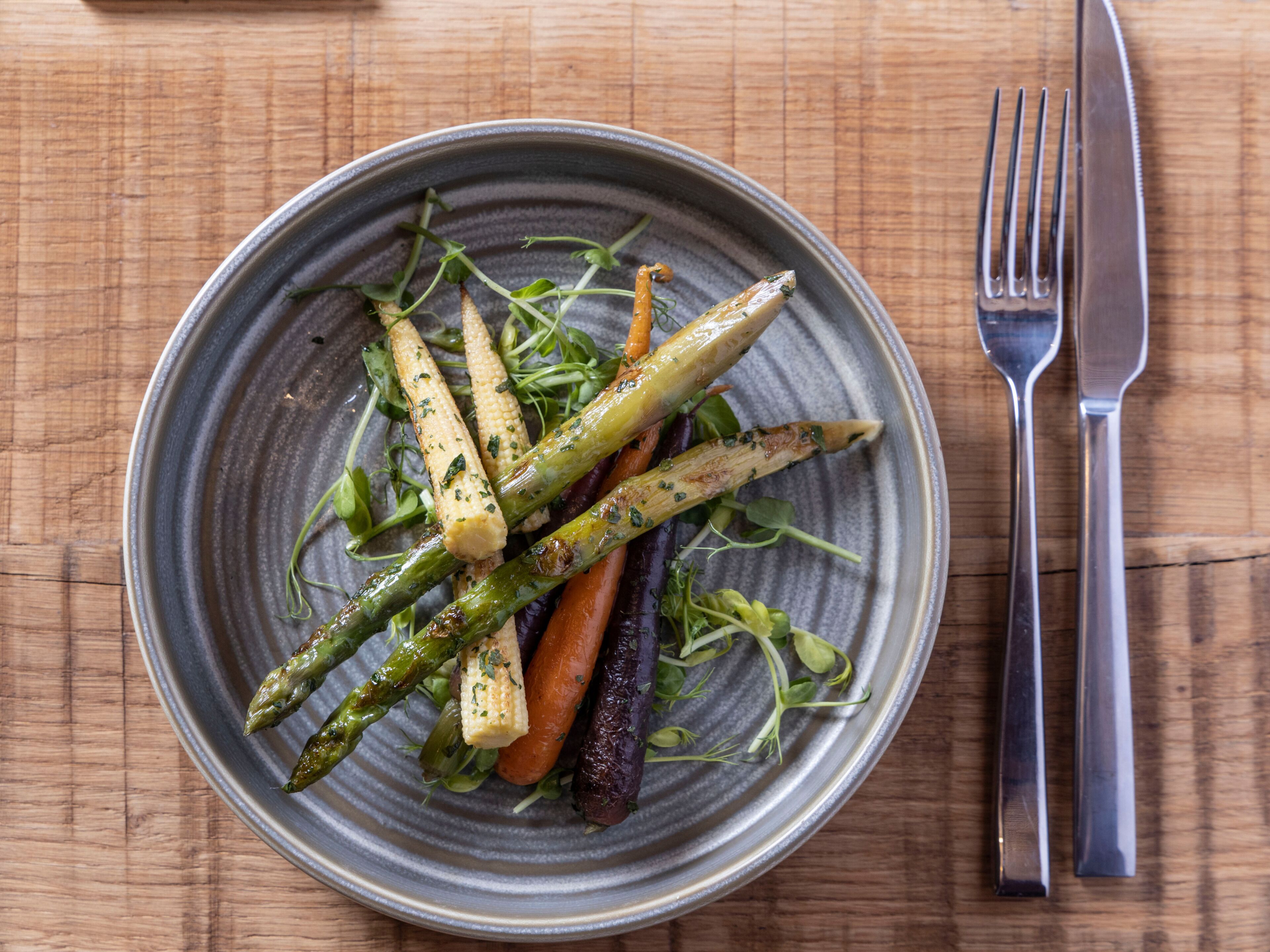 Photo - Wren Urban Nest