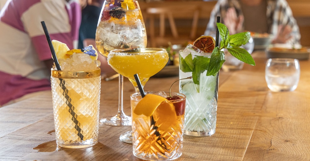 Wren Urban Nest by null