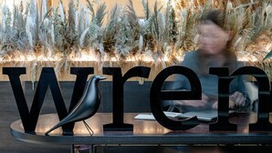 A reception desk with the word "WREN" in large letters, a black bird sculpture, and a background of tall grasses and plants. - Wren Urban Nest (Dublin)