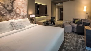 Habitación de hotel con una cama grande, un escritorio, una silla, un sofá, un televisor y una lámpara.