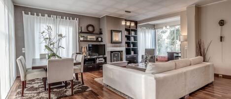 TV, fireplace, books, music library