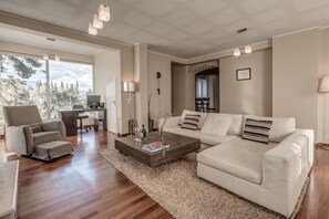 Fernseher, Kamin, Bücher, Musikbibliothek