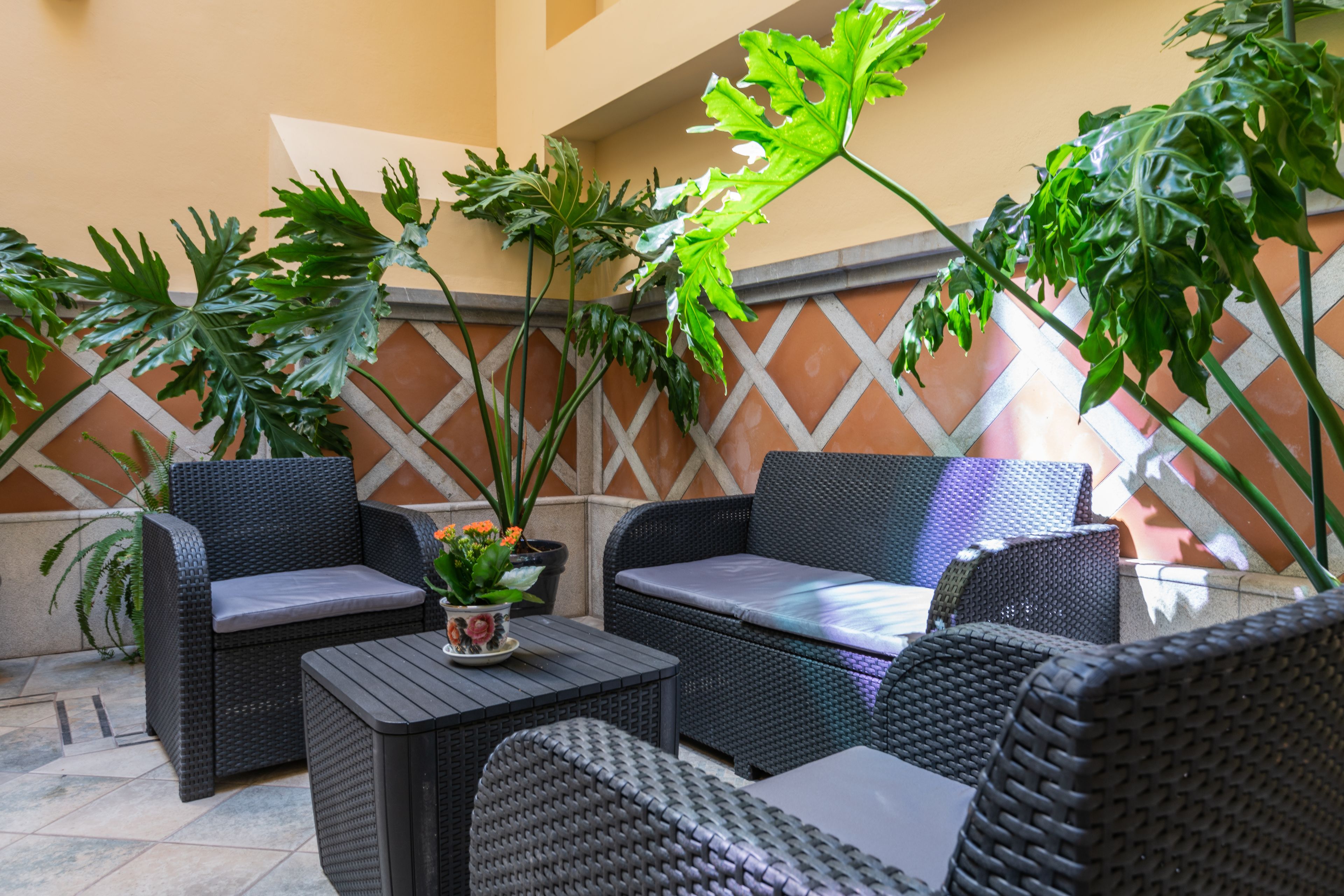 Photo - Casa Miraflores