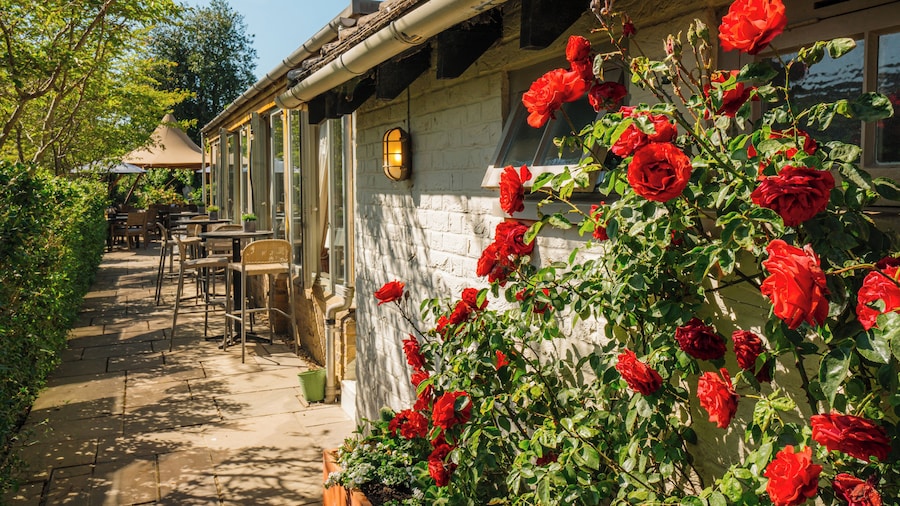 Crown & Punchbowl