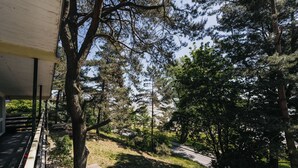 Un espace extérieur abrité, doté d’un banc en bois, entouré d’arbres et bordé d’un sentier.