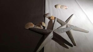 A bed with a starfish decoration and a pillow.