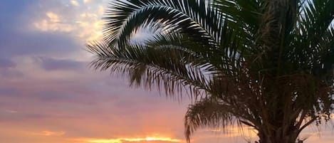 Privat strand, vit sandstrand, parasoller och strandhanddukar