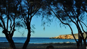 Una playa con árboles y un afloramiento rocoso al fondo.