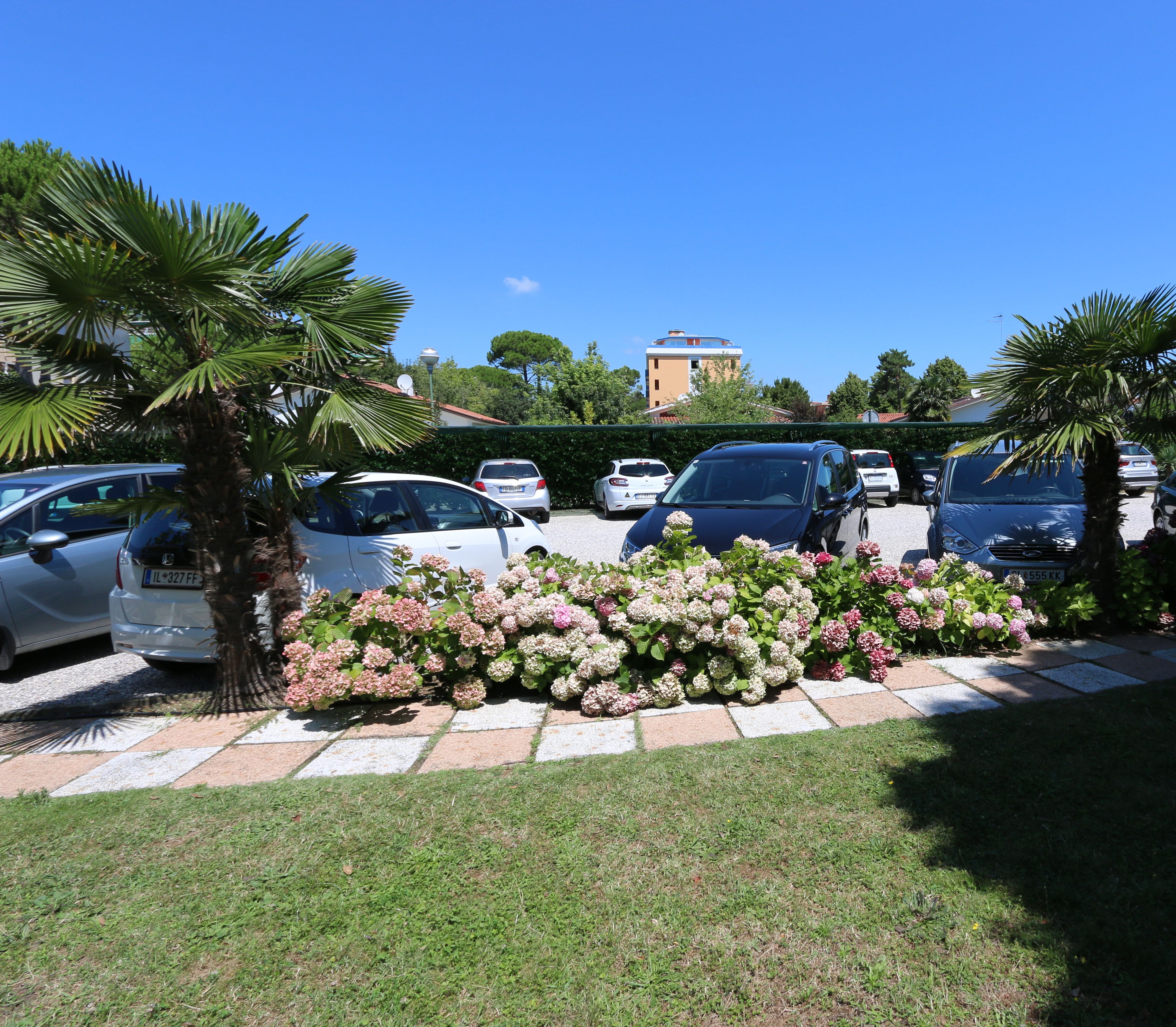 A parking lot with several cars, a hedge of pink and white flowers, and a palm tree.