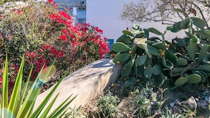 Een wit gebouw met blauwe accenten, omringd door cactussen en rode bloemen.