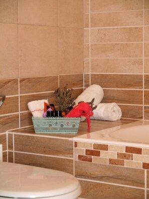 Ensemble baignoire-douche, séchoir à cheveux, serviettes fournies, savon