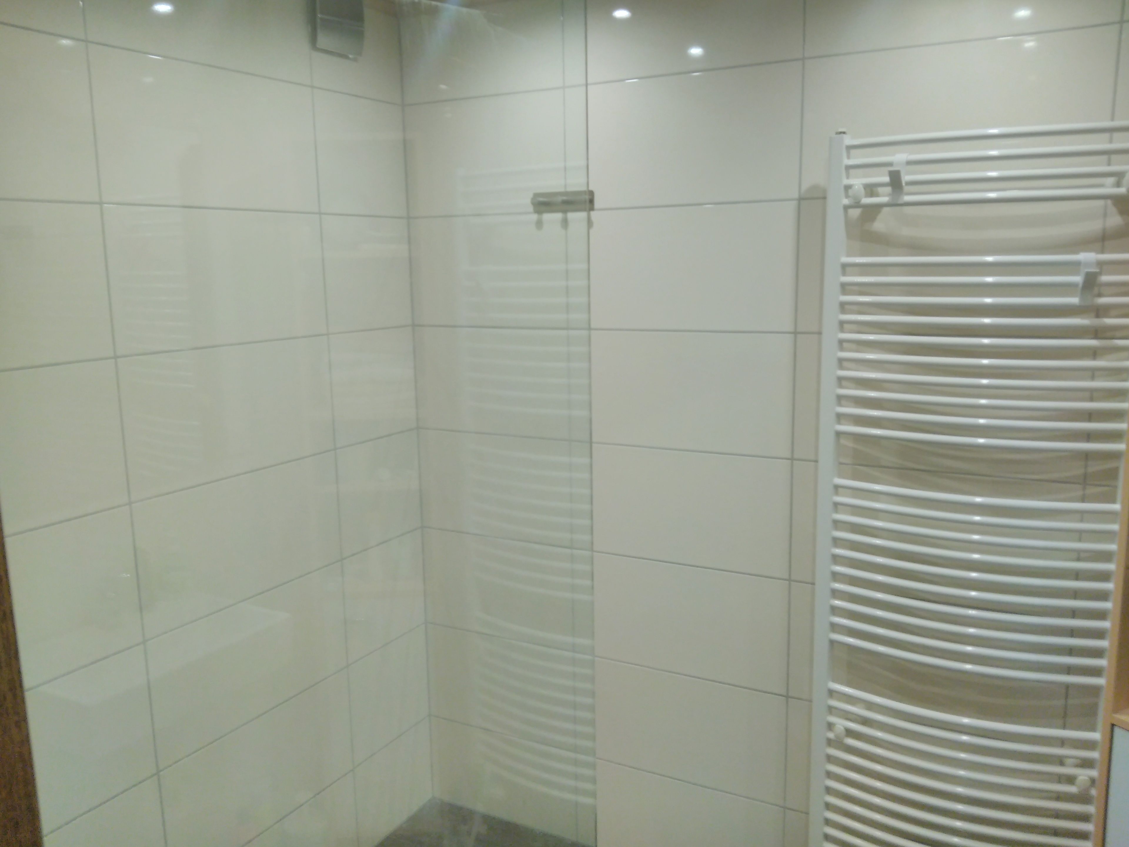 Căn hộ | Phòng tắm | Buồng tắm vòi sen, máy sấy tóc, khăn tắm, xà phòng 