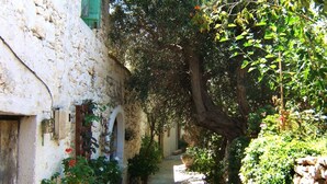 A narrow alleyway with stone walls, potted plants, and a tree providing shade.