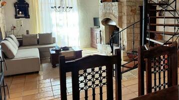 Smart TV, fireplace, books, music library