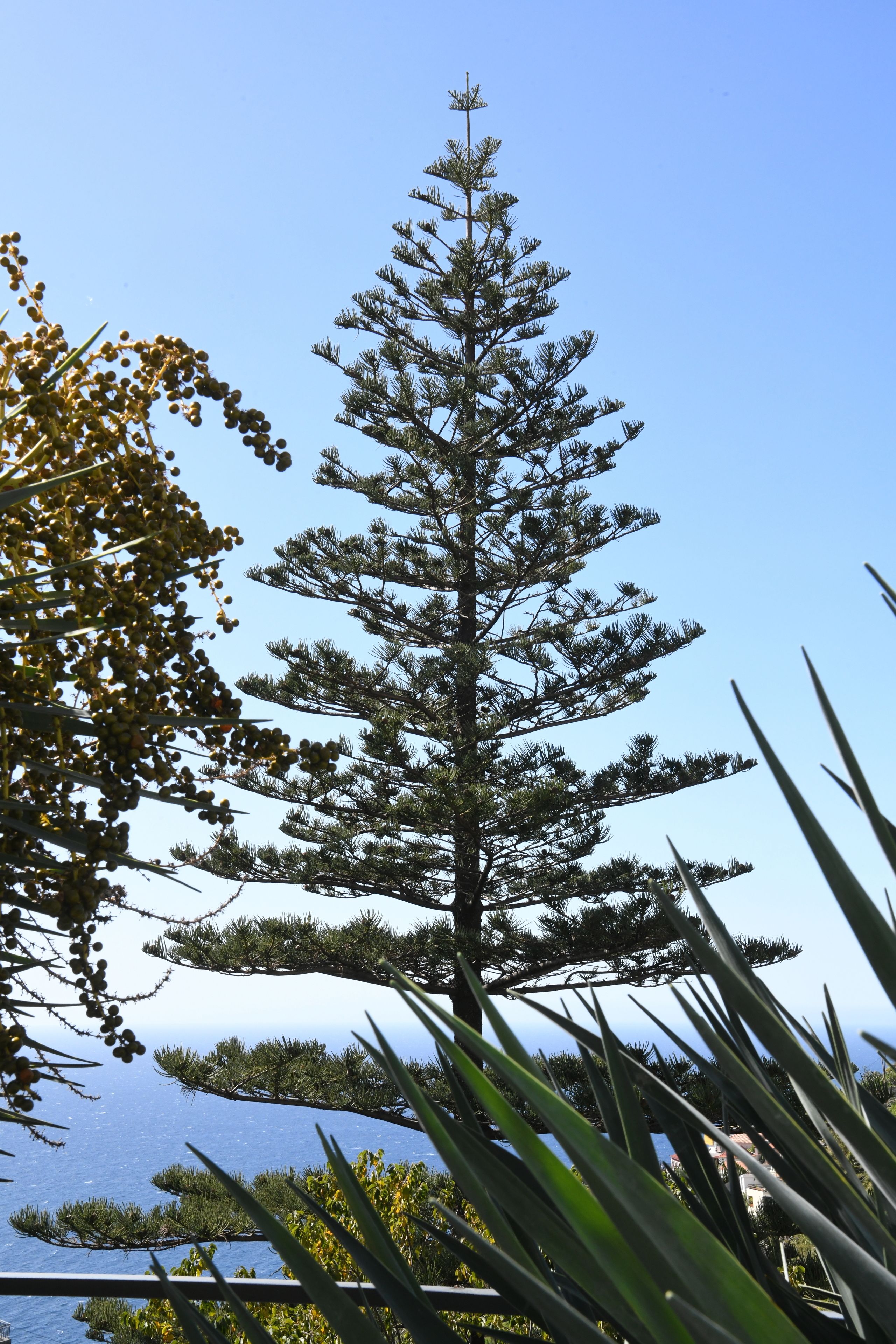 Foto - Hotel Do Campo