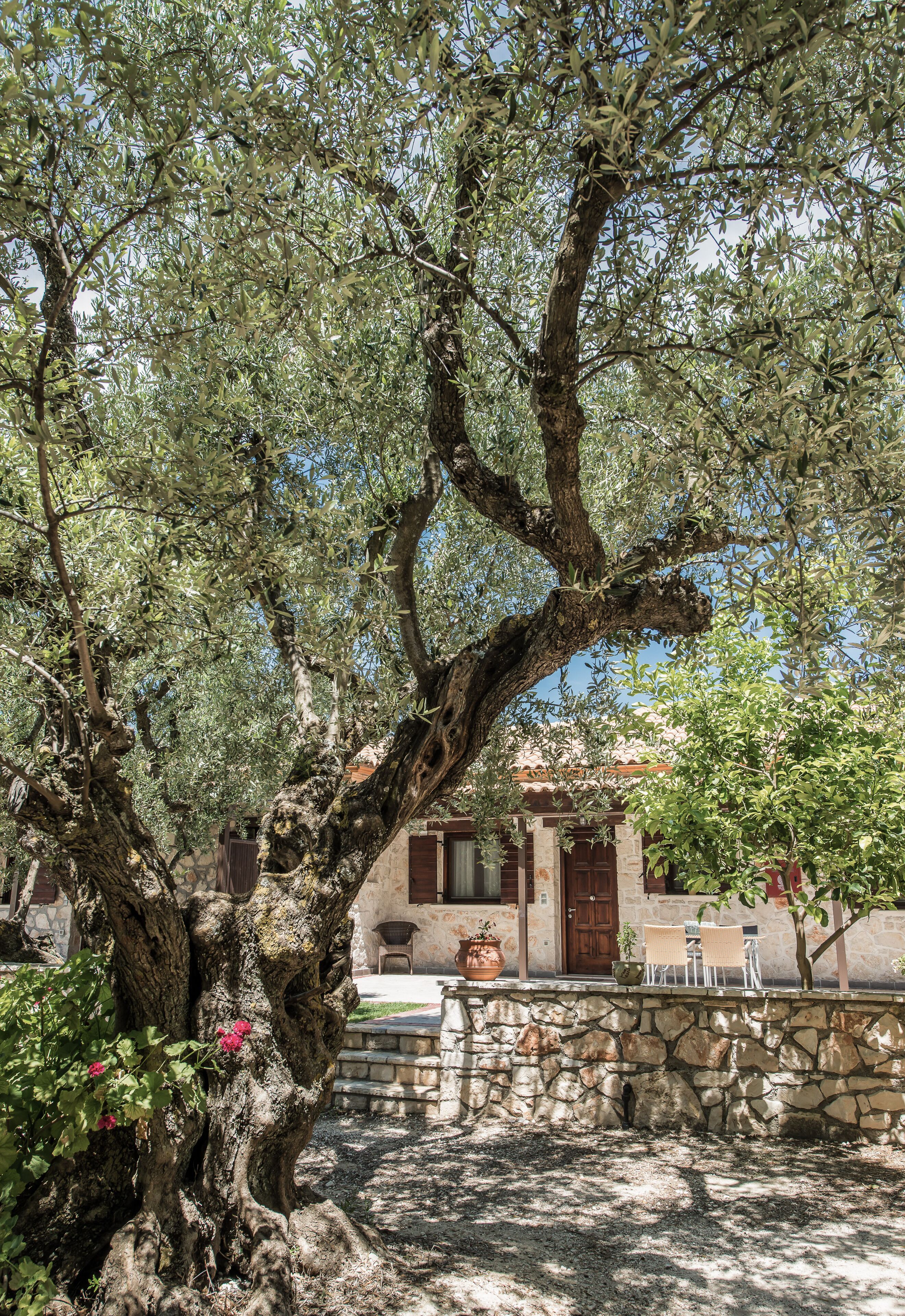 A stone building with a rustic facade, a large tree in front, and a small patio area with chairs and a table.