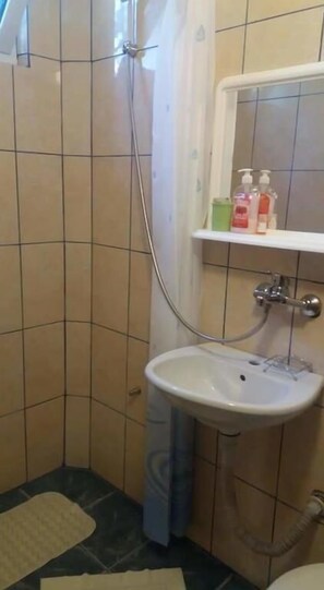 Shower, hair dryer, towels - Apartmani Obzovica (Obzovica)