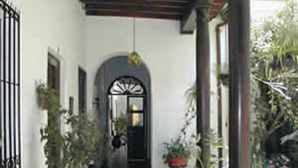Un couloir couvert, doté d’un sol carrelé, de murs blancs et d’un plafond en bois. Des plantes en pot sont disposées le long des murs, et une porte noire se trouve au fond.
