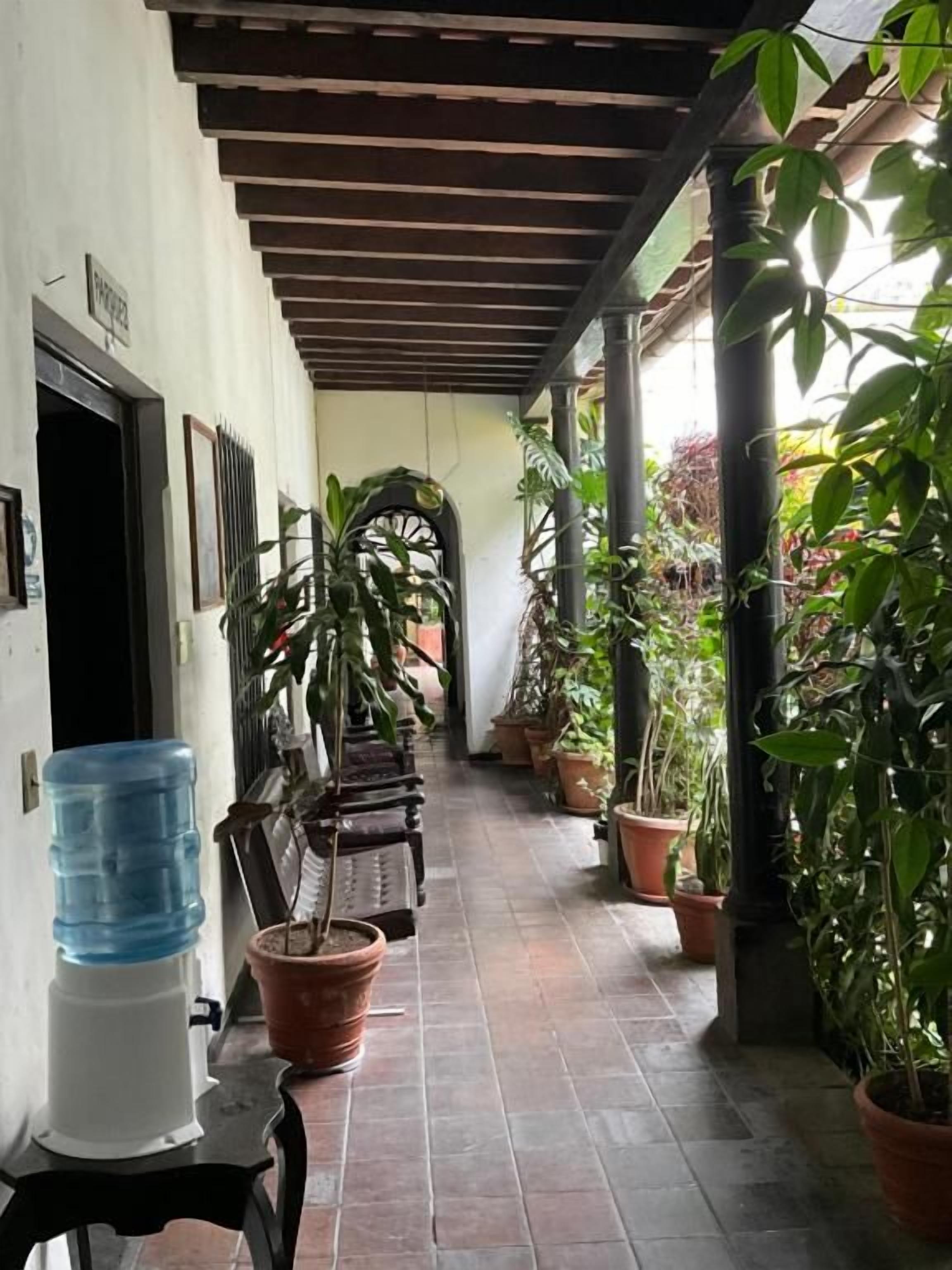 A covered corridor with potted plants, a water dispenser, and a bench.
