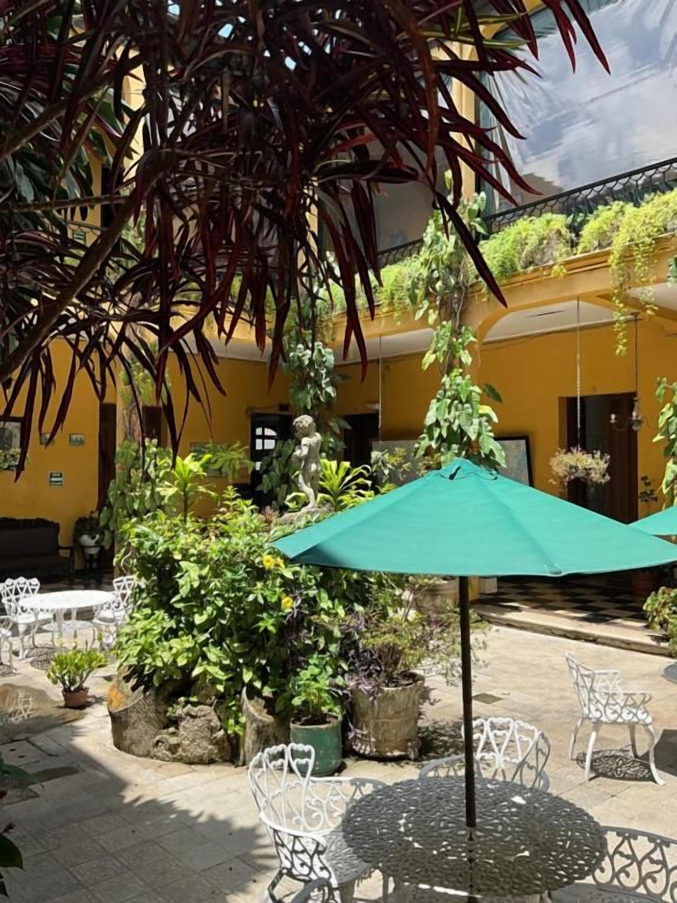An outdoor patio area with tables and chairs, surrounded by potted plants and a yellow building facade.
