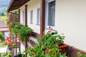 Habitación cuádruple | Terraza o patio