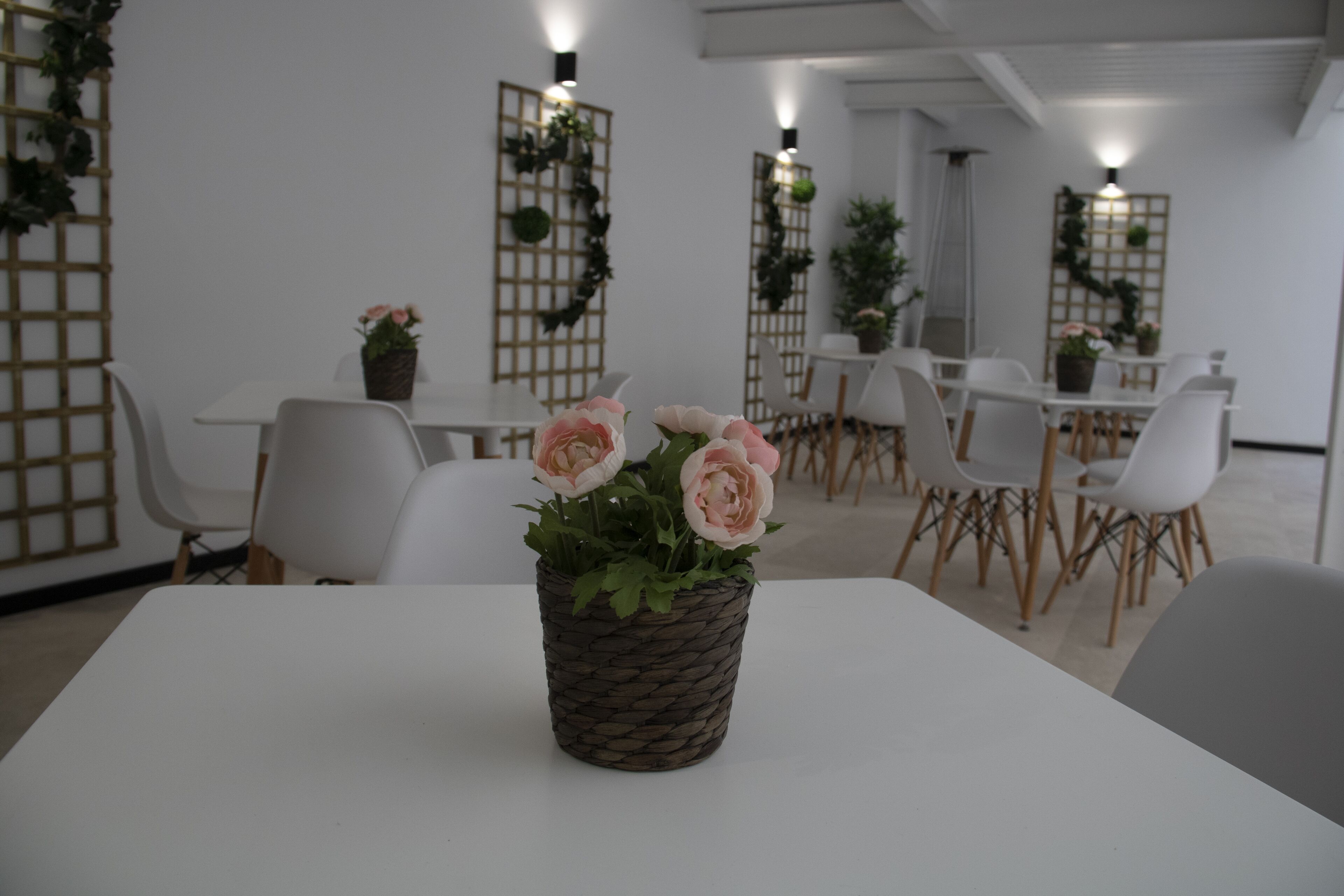 Photo - Hotel Alda Orzán