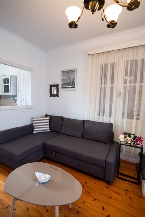 Televisión, chimenea y libros 