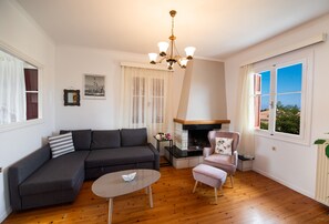 Televisión, chimenea y libros 