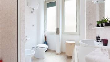 Shower, hair dryer, bidet, towels