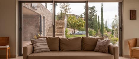 Televisión, chimenea