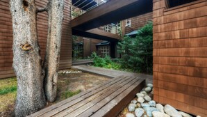 A modern building with a wooden deck, large trees, and a stone pathway.