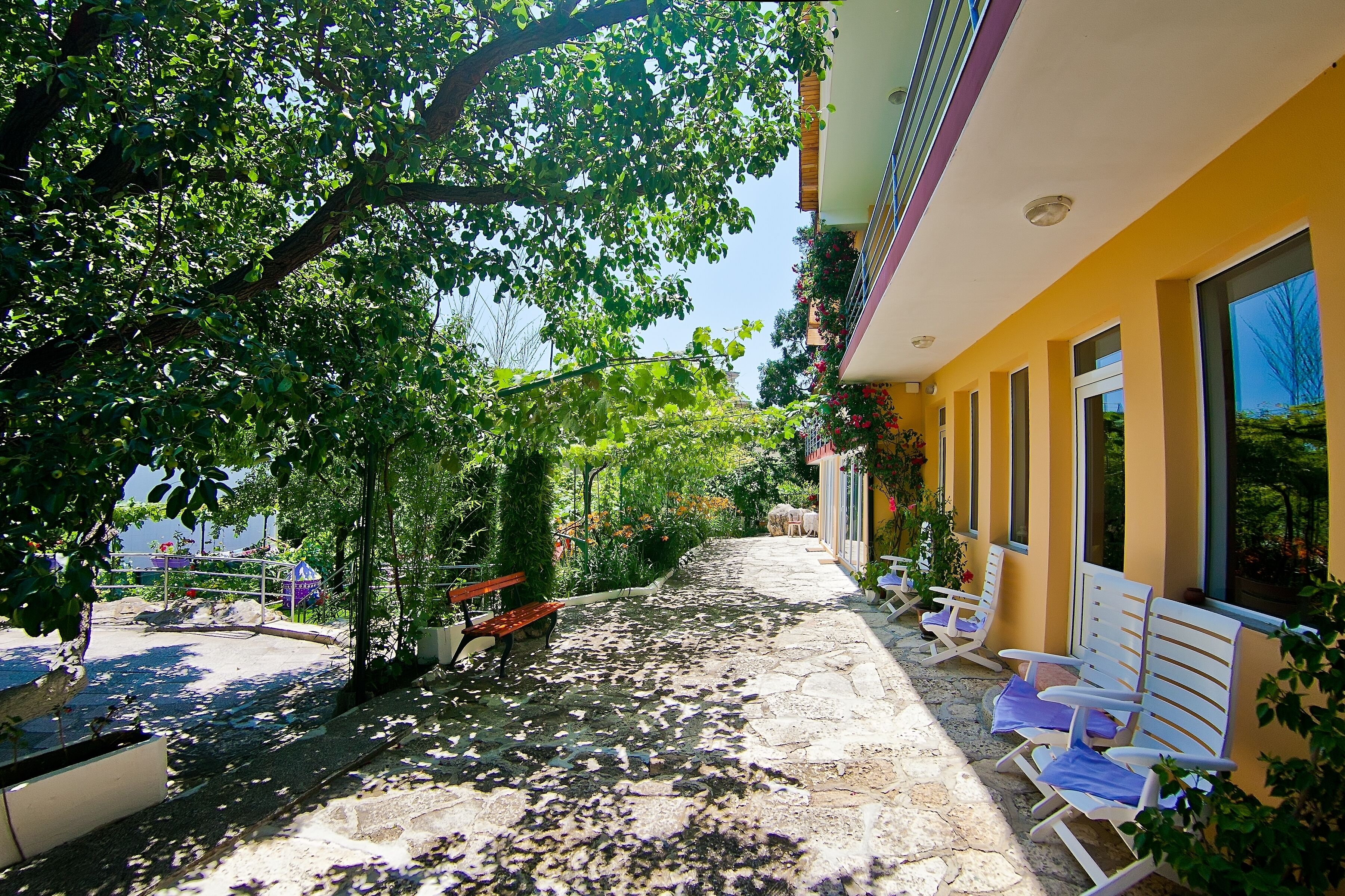 A sunlit outdoor area with stone flooring, a row of white lounge chairs, and a bench under a tree.