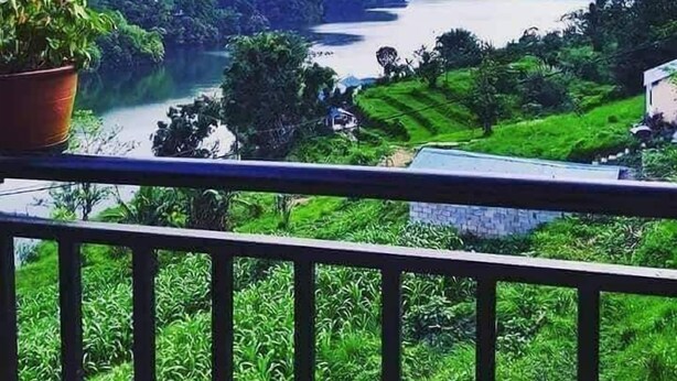 Un balcón con vistas a un lago, colinas verdes y una planta en maceta.