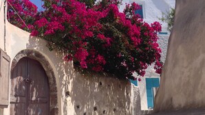 Une rue étroite bordée de bâtiments blancs, avec une porte bleue et des fleurs de bougainvillier roses.