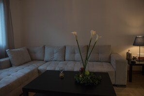 Smart TV, chimenea y libros 