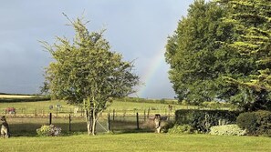 A rural landscape with a tree, a fence, and a rainbow in the background. - Lower Bryanston Farm (Blandford Forum)