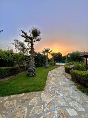 A stone pathway leading through a garden with palm trees and well-maintained hedges.