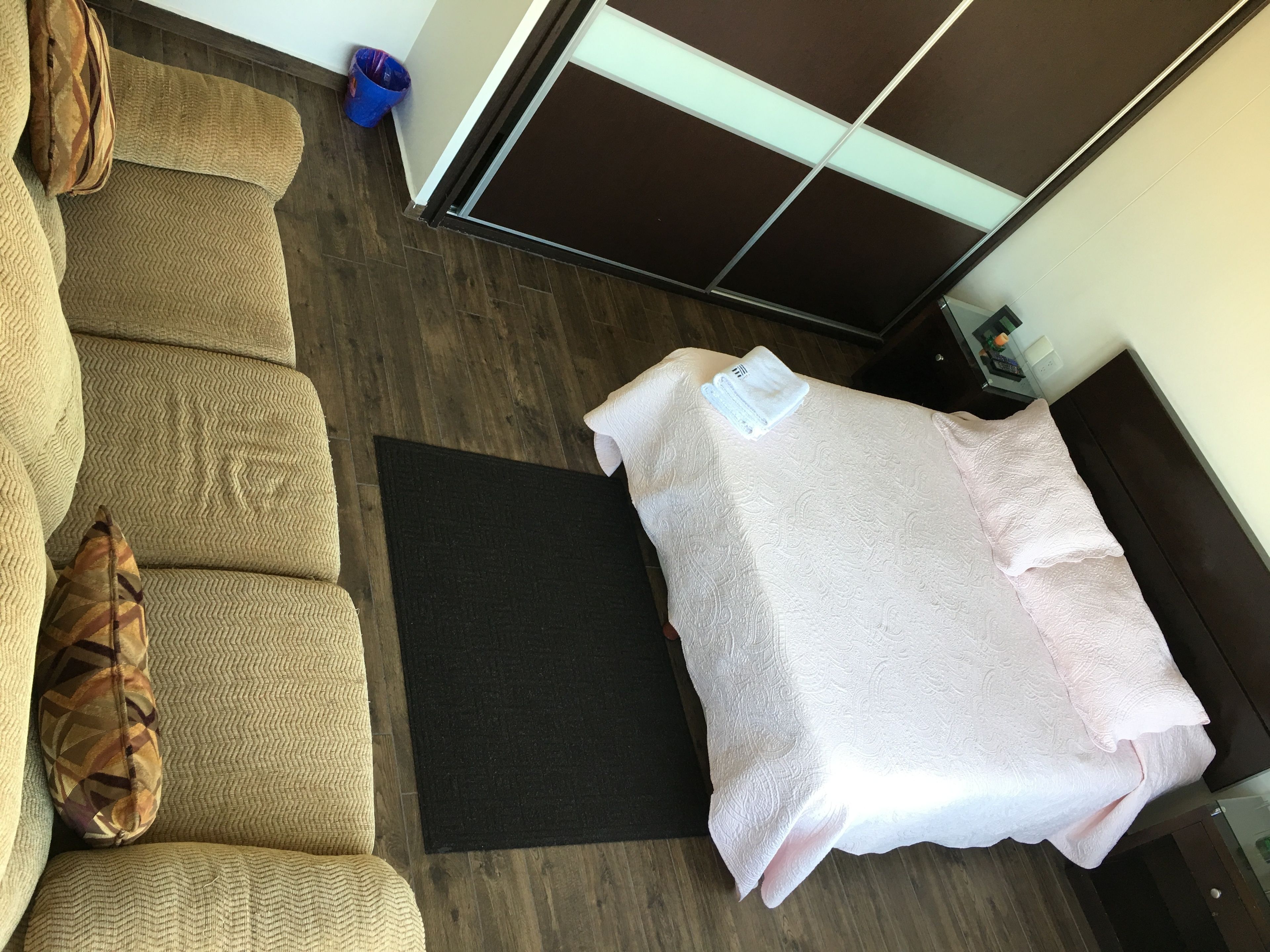 A room with a sofa, a black rug, and a bed with a white blanket.
