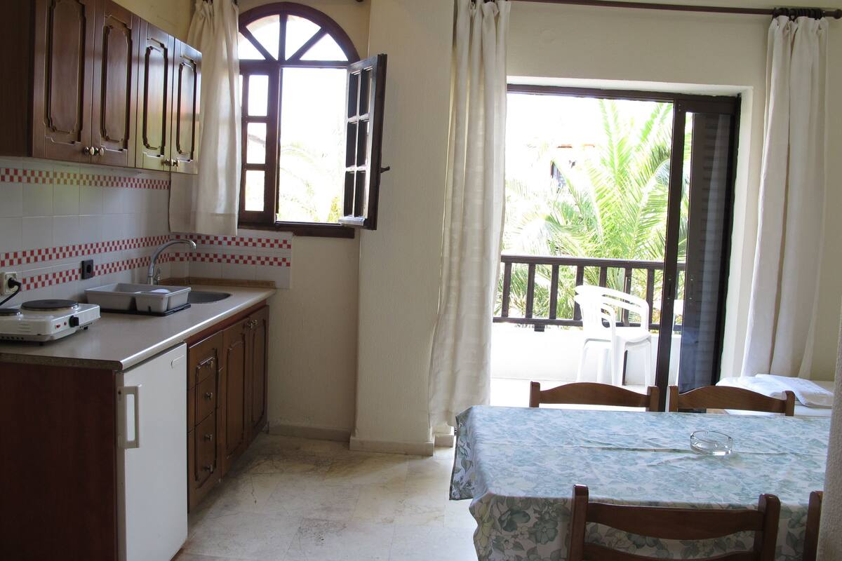 A compact kitchen with wooden cabinets, a small countertop, and a window with curtains.