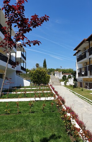 Interior - Ioli Village (Kassandra)
