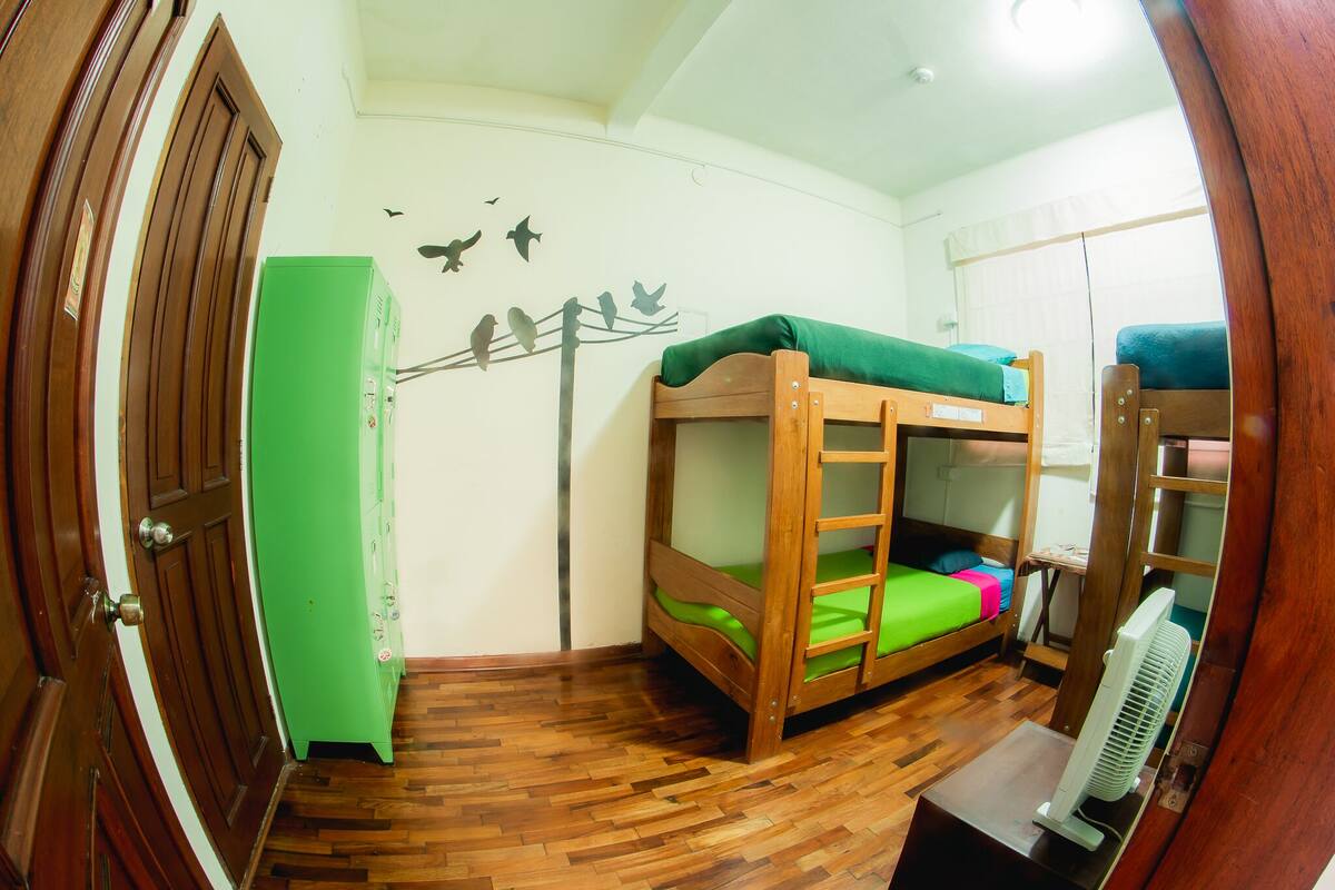 Une chambre avec un lit superposé, un matelas vert, une armoire en bois et un motif décoratif représentant des oiseaux sur le mur.