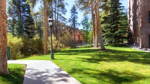 Un chemin menant à un bâtiment entouré d’arbres et bordé d’une pelouse bien entretenue.