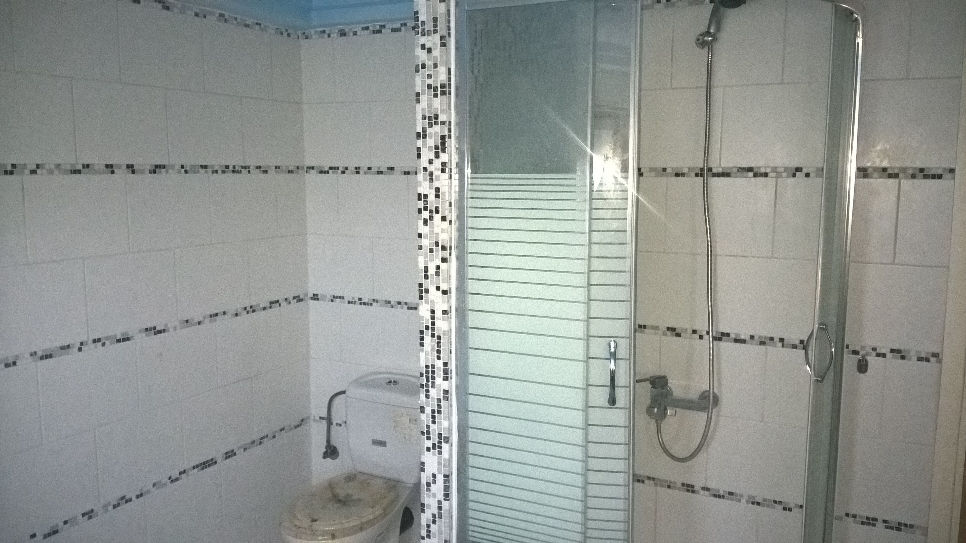 Combined shower/tub, jetted tub, hair dryer, towels