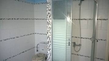 Combined shower/tub, jetted tub, hair dryer, towels