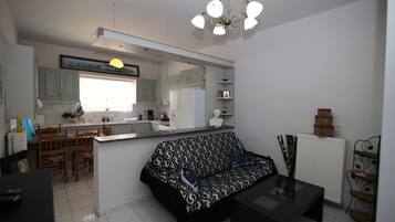 TV, fireplace, video games, DVD player