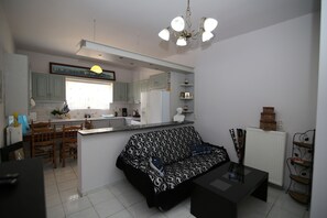 TV, fireplace, video games, DVD player