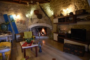 Televisio, takka, DVD-soitin, musiikkikirjasto