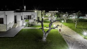 Un bâtiment moderne avec une façade en pierre, une pelouse bien entretenue et un arbre au premier plan.