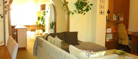 TV, DVD player, books, music library