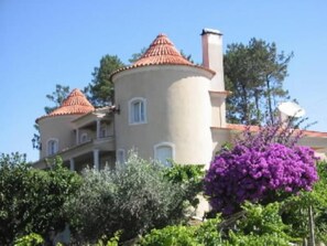 Exterior - Very nice villa with swimming pool 3 suite 3 bedrooms (between OUREM - FATIMA ) (Ourém)